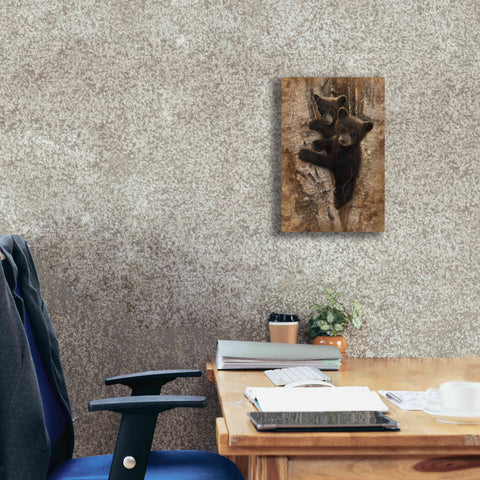 Image of 'Curious Cubs' by Collin Bogle, Canvas Wall Art,12x18