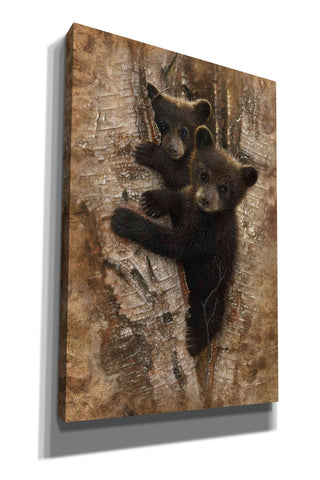 Image of 'Curious Cubs' by Collin Bogle, Canvas Wall Art,Size A Portrait