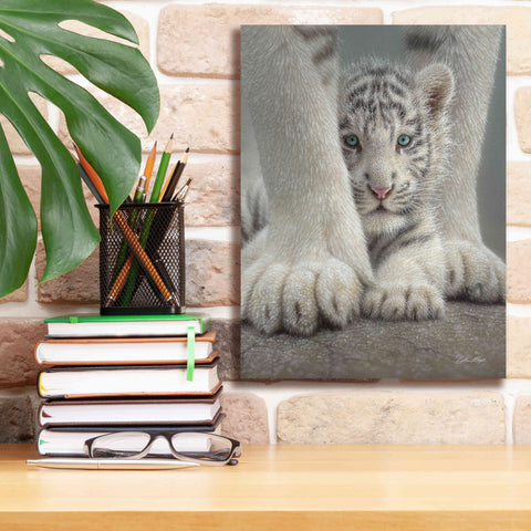 Image of 'Sheltered' by Collin Bogle, Canvas Wall Art,12x16