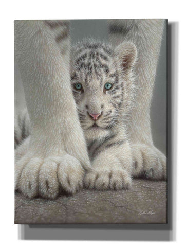 Image of 'Sheltered' by Collin Bogle, Canvas Wall Art,Size C Portrait