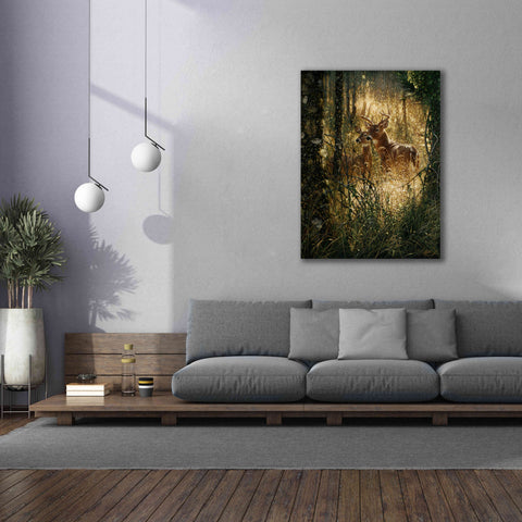 Image of 'A Golden Moment Portrait' by Collin Bogle, Canvas Wall Art,40x54