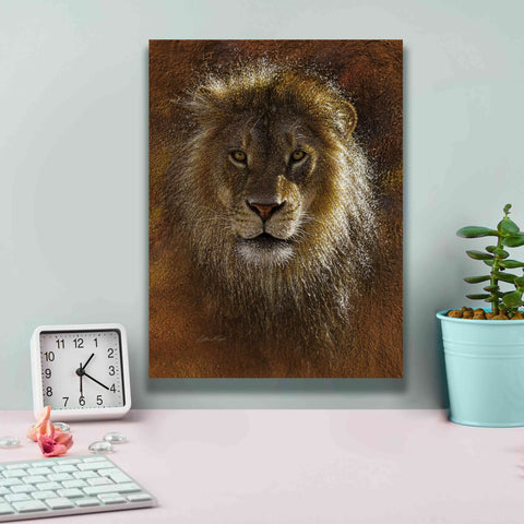 Image of 'Face Off' by Collin Bogle, Canvas Wall Art,12x16