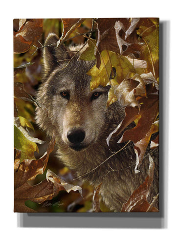 Image of 'Autumn Shadows' by Collin Bogle, Canvas Wall Art,Size C Portrait