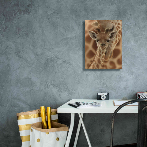 Image of 'New Born' by Collin Bogle, Canvas Wall Art,12x16
