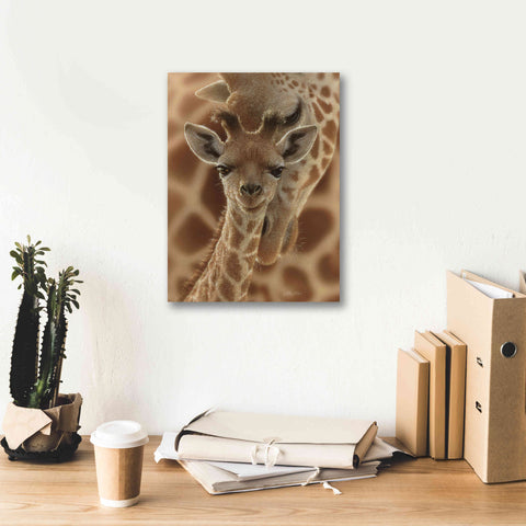 Image of 'New Born' by Collin Bogle, Canvas Wall Art,12x16