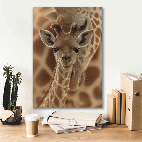 Image of 'New Born' by Collin Bogle, Canvas Wall Art,18x26
