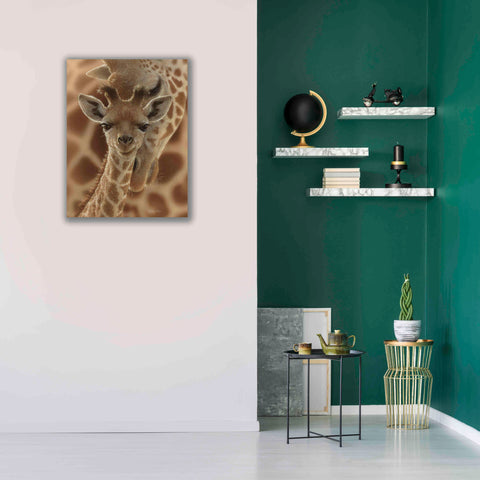Image of 'New Born' by Collin Bogle, Canvas Wall Art,26x34