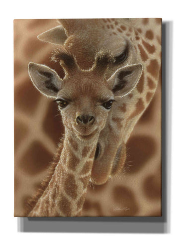 Image of 'New Born' by Collin Bogle, Canvas Wall Art,Size B Portrait