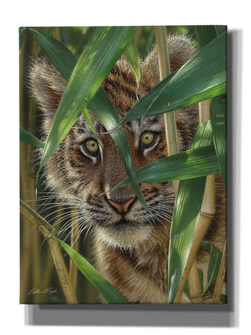 Image of 'Peekaboo' by Collin Bogle, Canvas Wall Art,Size C Portrait