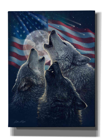 Image of 'Wolf Trinity Patriotic' by Collin Bogle, Canvas Wall Art,Size C Portrait