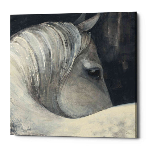 Image of 'Bijou' by Albena Hristova, Canvas Wall Art