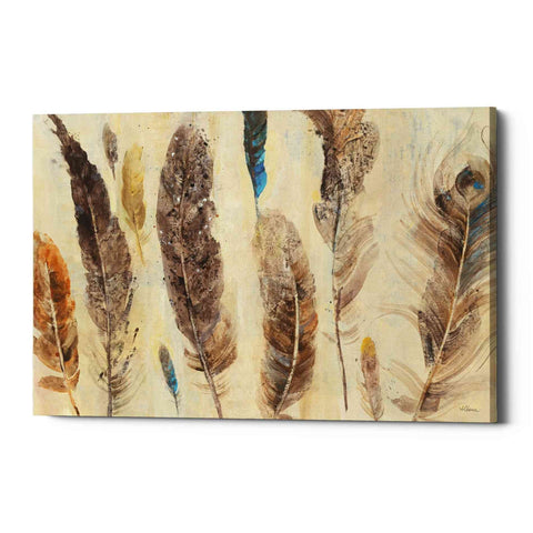 Image of 'Feather Study' by Albena Hristova, Canvas Wall Art