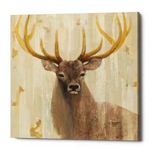 Image of 'Forest King' by Albena Hristova, Canvas Wall Art