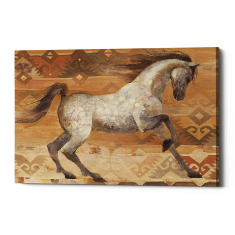 Image of 'Grand Entrance Southwest' by Albena Hristova, Canvas Wall Art