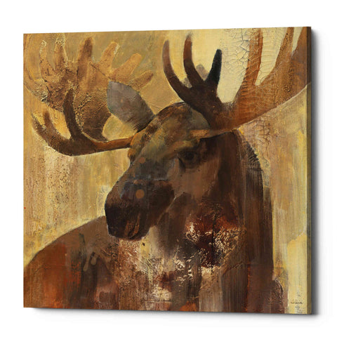 Image of 'Into the Wild II' by Albena Hristova, Canvas Wall Art