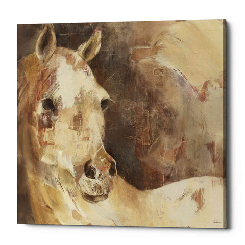 Image of 'Jasmine' by Albena Hristova, Canvas Wall Art