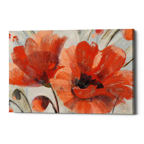 Image of 'Popping' by Albena Hristova, Canvas Wall Art