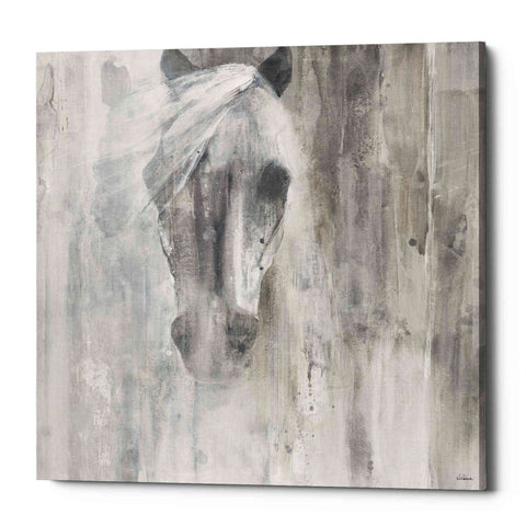 Image of 'Shadow Gray' by Albena Hristova, Canvas Wall Art