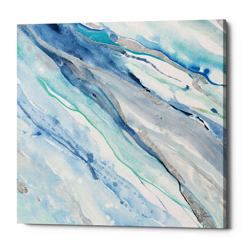 Image of 'Silver Spring II' by Albena Hristova, Canvas Wall Art