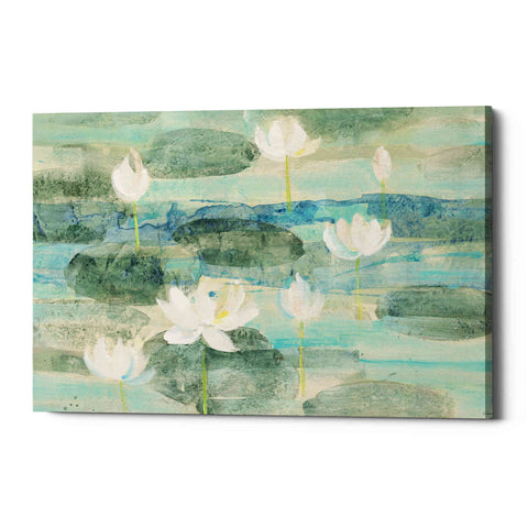 Image of 'Water Lilies Bright' by Albena Hristova, Canvas Wall Art
