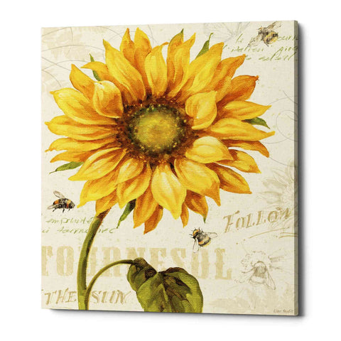 Image of 'Under The Sun I' by Lisa Audit, Canvas Wall Art,