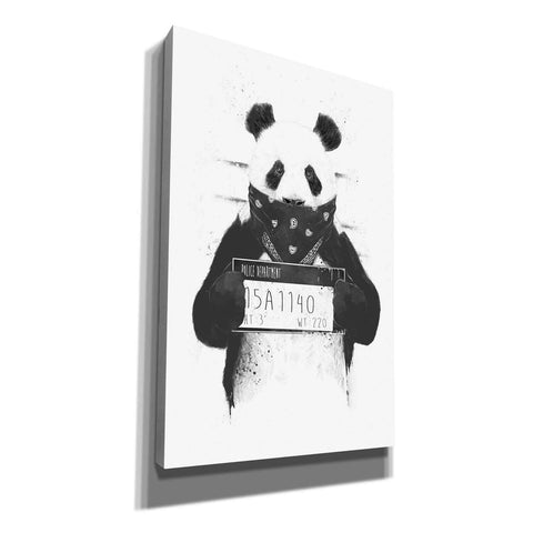 Image of 'Bad Panda' by Balazs Solti, Giclee Canvas Wall Art