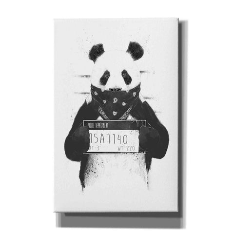 Image of 'Bad Panda' by Balazs Solti, Giclee Canvas Wall Art
