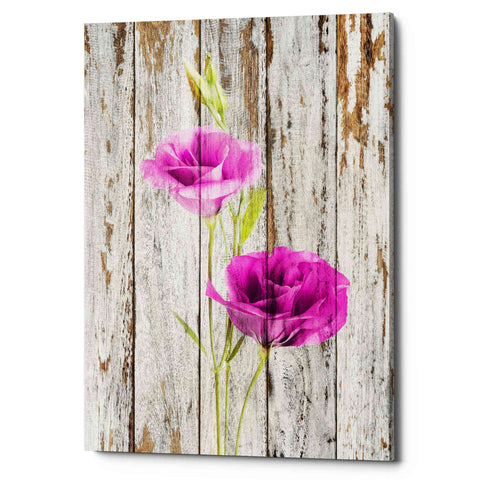 Image of 'Sensitive, Creative, yet Rustic' Canvas Wall Art