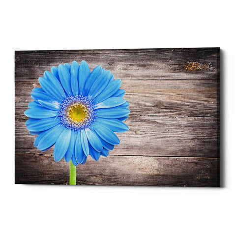 Image of 'Serenity' Canvas Wall Art