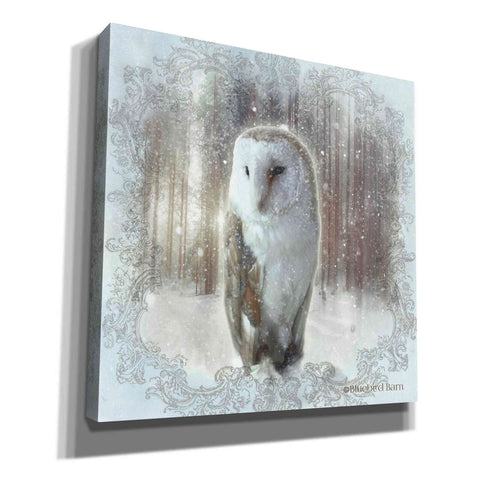 Image of 'Enchanted Winter Owl' by Bluebird Barn, Canvas Wall Art,Size 1 Sqaure