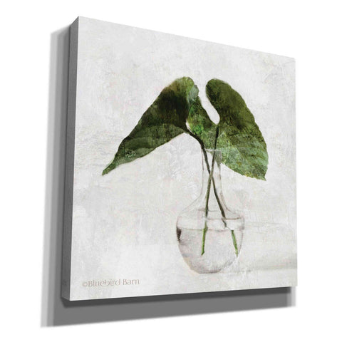 Image of 'Stems in Glass' by Bluebird Barn, Canvas Wall Art,Size 1 Sqaure