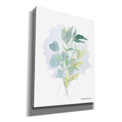 Image of 'Watercolor Greenery Series II' by Bluebird Barn, Canvas Wall Art,Size B Portrait