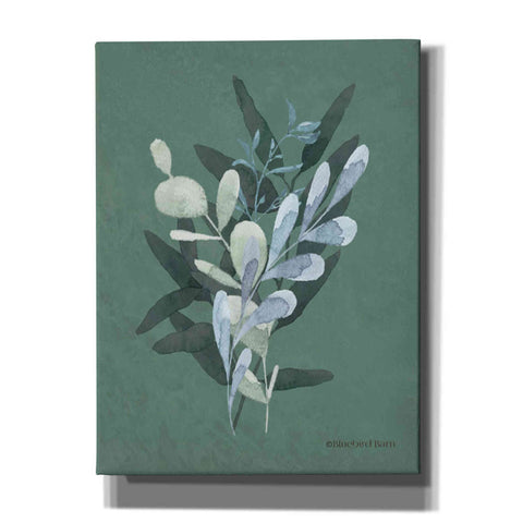 Image of 'Watercolor Greenery Series Dark II' by Bluebird Barn, Canvas Wall Art,Size B Portrait