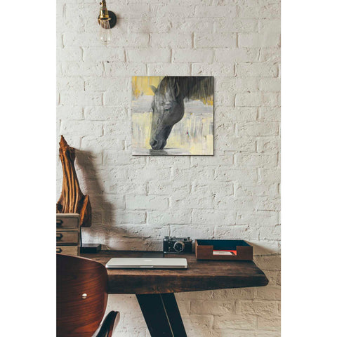 Image of 'Caleb' by Albena Hristova, Canvas Wall Art,12 x 12