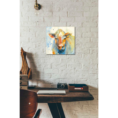 Image of 'Happy Cows II' by Albena Hristova, Canvas Wall Art,12 x 12