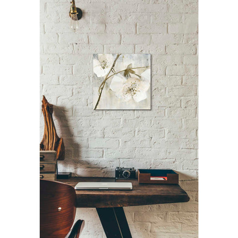 Image of 'Elegance II Greige' by Albena Hristova, Canvas Wall Art,12 x 12