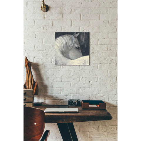 Image of 'Bijou' by Albena Hristova, Canvas Wall Art,12 x 12