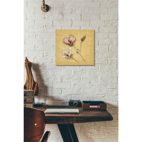 Image of 'Magnolia Blossom on Gold' by Cheri Blum, Canvas Wall Art,12 x 12