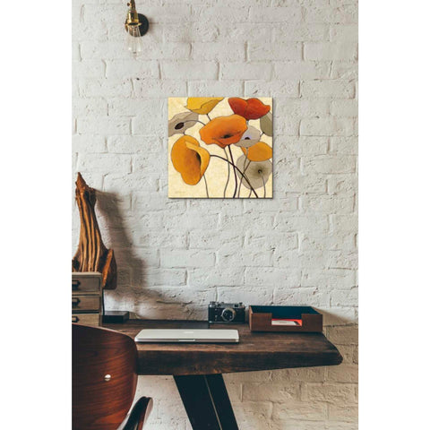 Image of 'Pumpkin Poppies III' by Shirley Novak, Canvas Wall Art,12 x 12