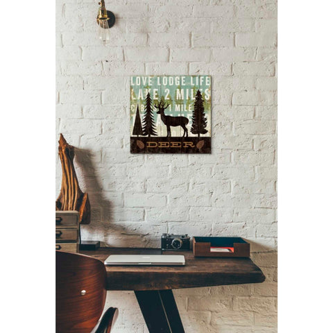 Image of 'Simple Living Deer' by Michael Mullan, Canvas Wall Art,12 x 12