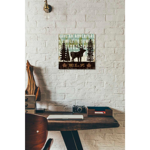 Image of 'Simple Living Elk' by Michael Mullan, Canvas Wall Art,12 x 12