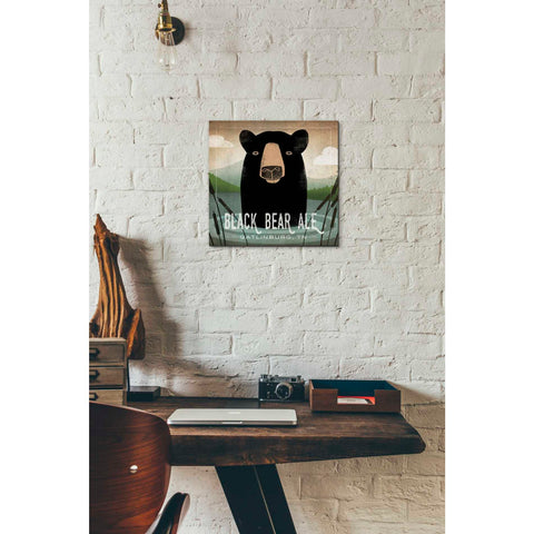 Image of 'Skinny Dip Black Bear Ale' by Ryan Fowler, Canvas Wall Art,12 x 12