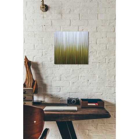 Image of 'Sea Grass Canvas' by Katherine Gendreau, Giclee Canvas Wall Art