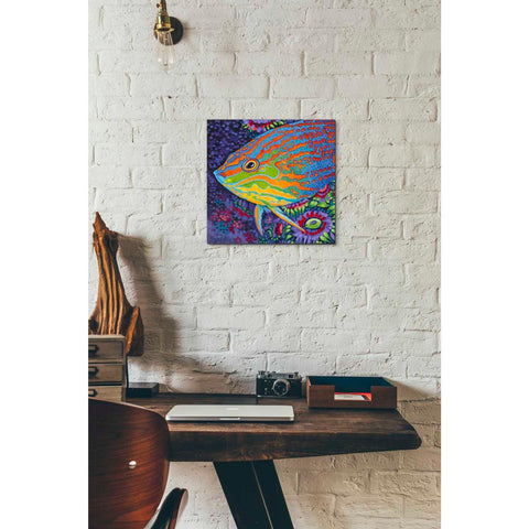 Image of 'Brilliant Tropical Fish I' by Carolee Vitaletti Giclee Canvas Wall Art