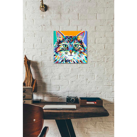 Image of 'Dramatic Cats I' by Carolee Vitaletti Giclee Canvas Wall Art