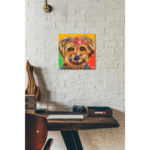 Image of 'Sweet Yorkie I' by Carolee Vitaletti Giclee Canvas Wall Art