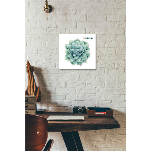 Image of 'Succulent I' by Grace Popp Canvas Wall Art,12 x 12