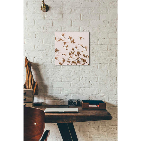 Image of 'Sparrow' by Zigen Tanabe, Giclee Canvas Wall Art