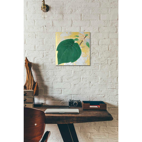 Image of 'Paulownia' by Zigen Tanabe, Giclee Canvas Wall Art