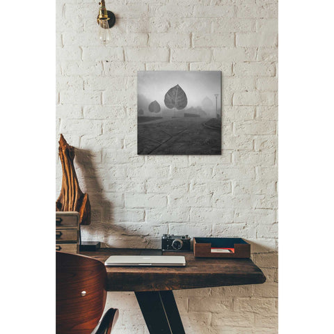 Image of 'Leave Alley' by Dariusz Klimczak, Canvas Wall Art,12 x 12
